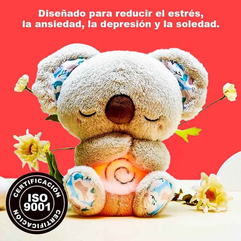 BOX KOALA DORMILÓN 🐨