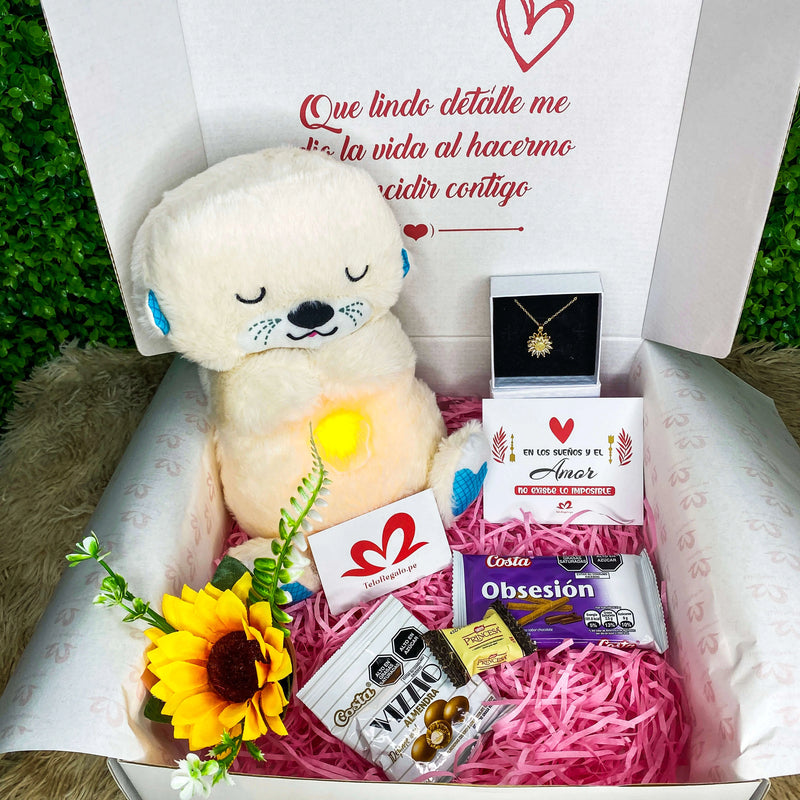 BOX NUTRIA DORMILONA 🦦