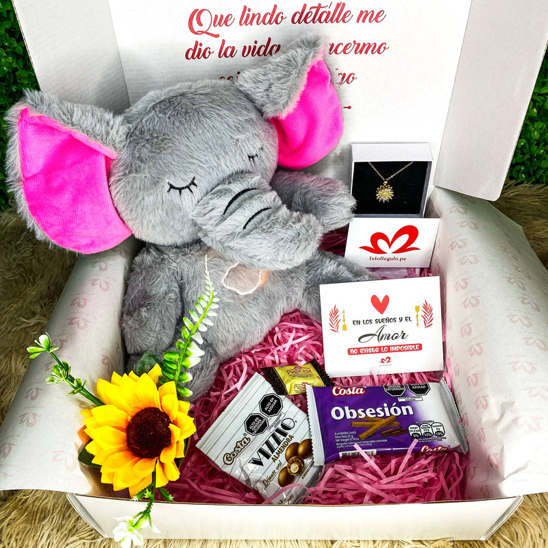 BOX ELEFANTE DORMILÓN 🐘